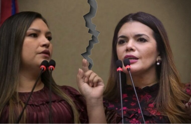 Briga na Aleam: deputada Alessandra Campêlo fala na cara de Joana Darc que ela é mentirosa; veja vídeo