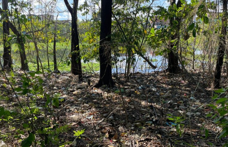 Urgente: cabeça é encontrada boiando em Igarapé do bairro São Jorge