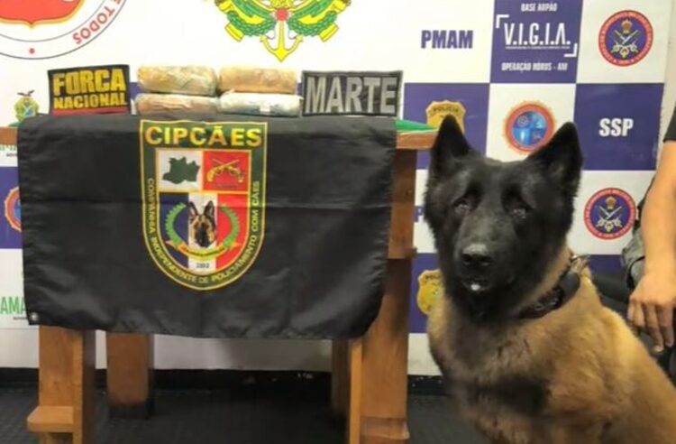 Polícia encontra drogas avaliadas em R$ 67 mil escondidas em pneus de barco no Amazonas