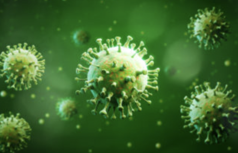 Novo vírus, Langya infecta 35 pessoas na China e preocupa a população