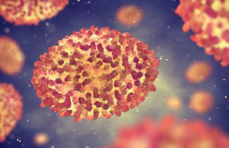 Varíola dos macacos: Brasil chega à marca de 5 mil casos; Amazonas tem 27 casos confirmados