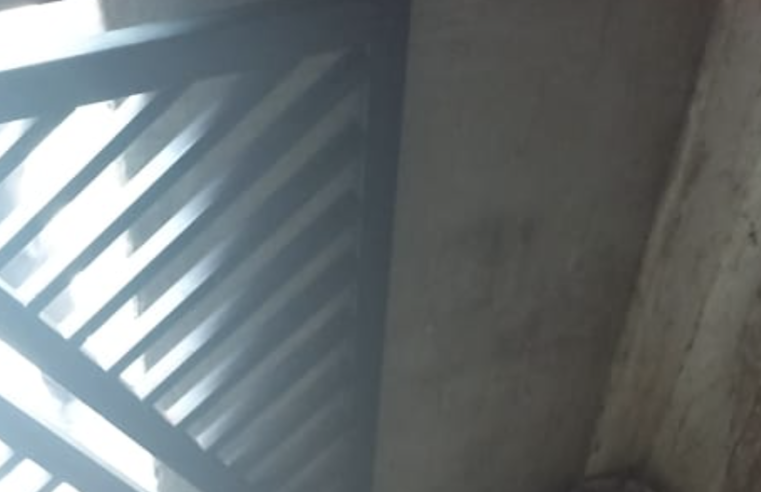 Urgente: jovem tem cabeça estourada a tiros no Centro de Manaus; veja vídeo