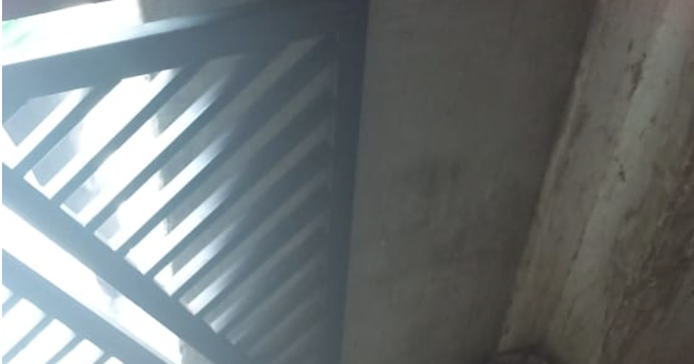 Urgente: jovem tem cabeça estourada a tiros no Centro de Manaus; veja vídeo