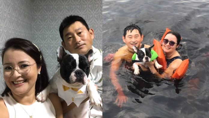 Amazonense consegue na justiça direito de viajar com cachorrinho na mesma cabine para outro país