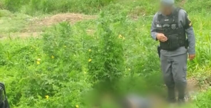 Estudantes a caminho da escola encontram cadáver na zona Sul de Manaus