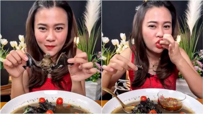 Influencer é presa após gravar vídeo comendo morcego