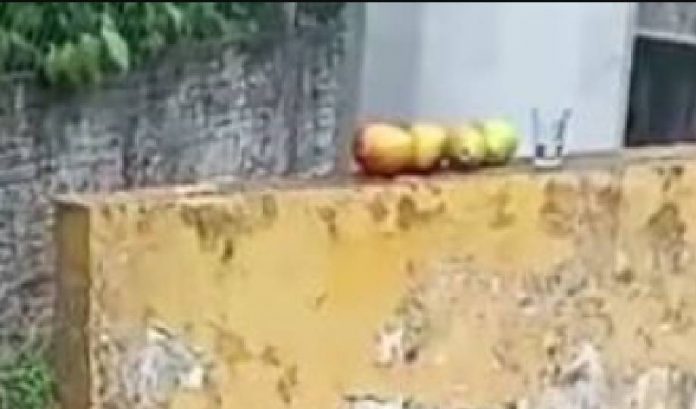 Homem é encontrado com faca cravada no peito na zona oeste de Manaus; confira o vídeo