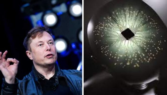Elon Musk quer implantar chips cerebrais em humanos dentro de 6 meses