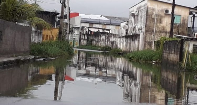 ‘Ruas viram igarapés’: bairros de Manaus amanhecem alagados após noite de chuva; veja vídeo