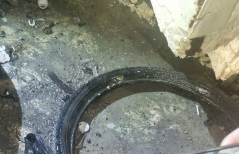 Homem vai catar latinha e encontra cabeç4 humana na zona Norte de Manaus; imagem f0rte