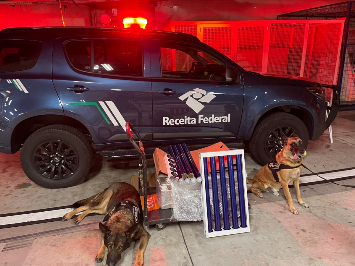 Mais de 53kg de maconha são apreendidos no Aeroporto Eduardo Gomes, em Manaus