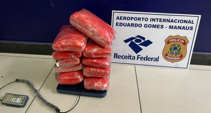 Receita Federal apreende drogas escondidas em panetone, HD e piscina plástica em Manaus