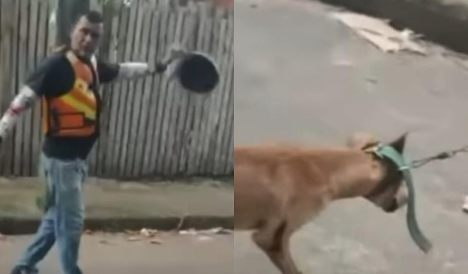 Mototaxista arrasta cachorro pelas ruas de Manacapuru e causa revolta da população; assista ao vídeo