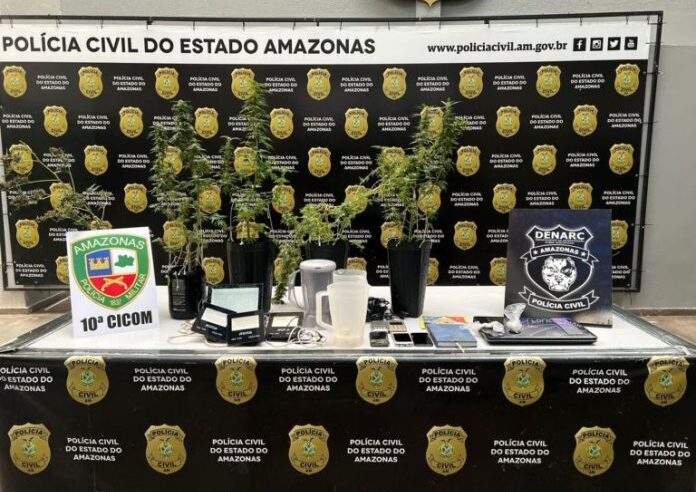 Homem que mantinha plantação de maconha em casa é preso no bairro Alvorada