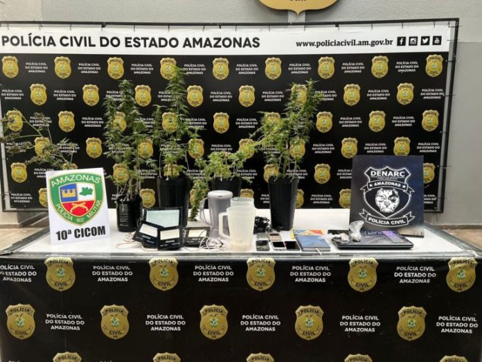 Homem que mantinha plantação de maconha em casa é preso no bairro Alvorada