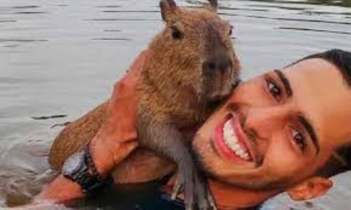 Influenciador que viralizou com capivara de estimação e foi multado pelo Ibama recebe apoio de famosos