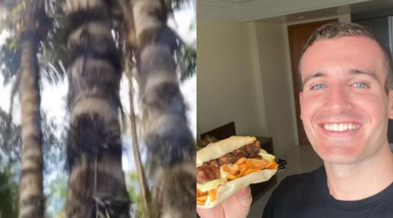 Gringo do x-caboquinho se surpreende com árvore de tucumã em Macapá; ‘achei que só tinha em Manaus’ disparou
