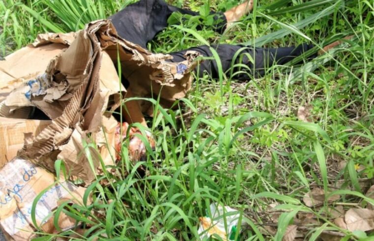 Em Manaus, cadáver é encontrado amarrado e com nove tiros pelo corpo