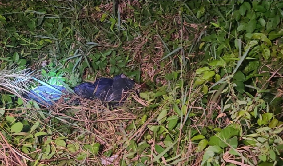 No Amazonas, corpo é encontrado enrolado em lona em área de mata na AM-070