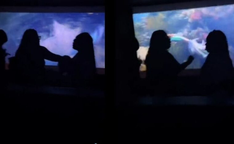 Pais armam barraco no cinema durante sessão de ‘A Pequena Sereia’