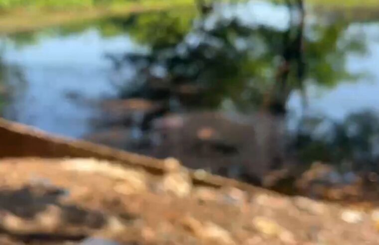 Corpo do sexo masculino acaba de ser encontrado boiando as margens de rio na AM 070