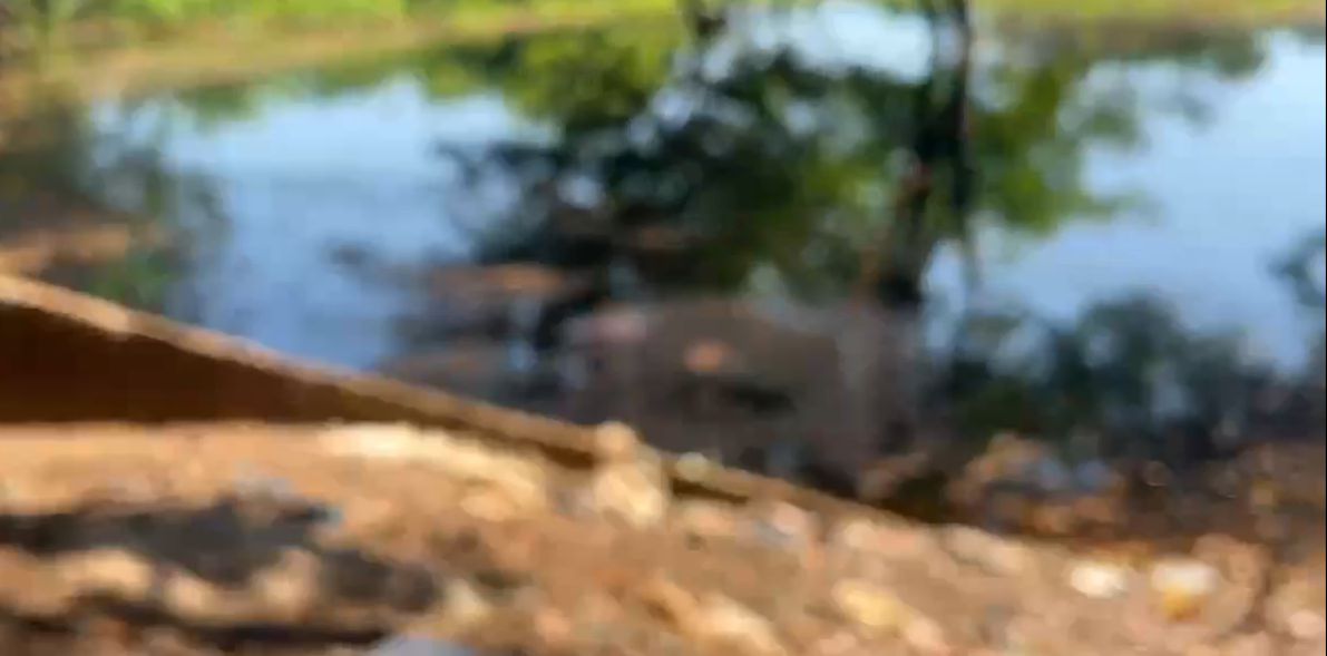 Corpo do sexo masculino acaba de ser encontrado boiando as margens de rio na AM 070