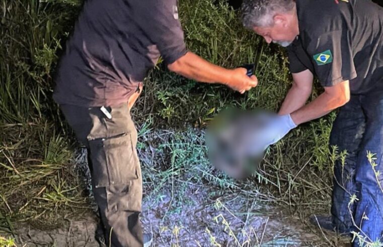 Polícia Militar encontra cadáver esquartejado no Japiim graças à “ajuda” de cachorro que carregou braço pelas ruas