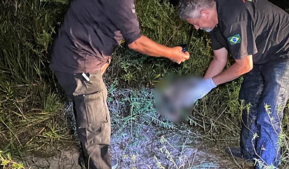 Polícia Militar encontra cadáver esquartejado no Japiim graças à “ajuda” de cachorro que carregou braço pelas ruas