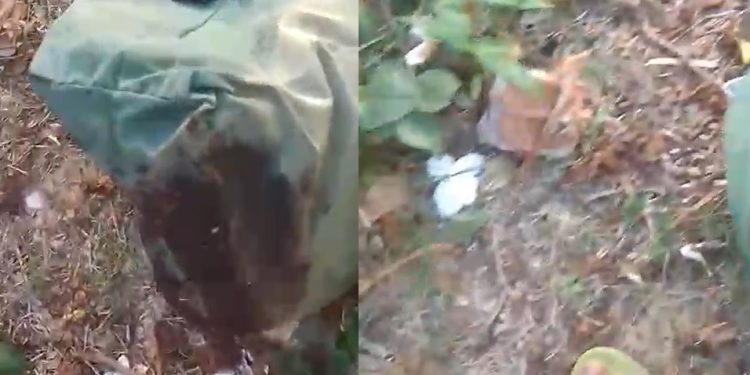 Vídeo mostra pedaços de homem “torado” na comunidade Mundo Novo, em Manaus: ‘pagou com os dedos’