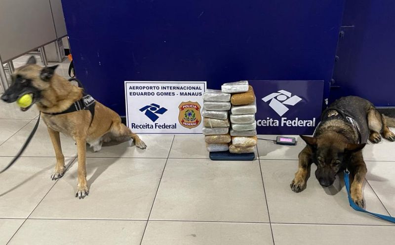 Jovem é presa no aeroporto de Manaus com 8,5 quilos de drogas camufladas em polpa de açaí