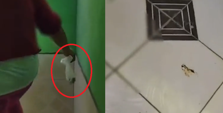 ‘Jogou o tolete’: Mulher se vinga da vizinha jogando saco de cocô na casa dela e PM é acionada; vídeo