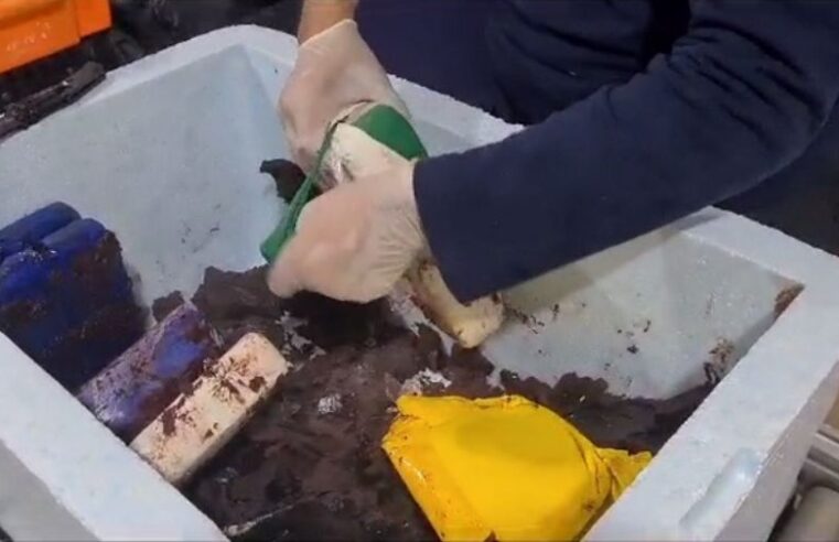 Mulher é presa com 8,5 kg de maconha escondida em polpa de açaí no aeroporto de Manaus