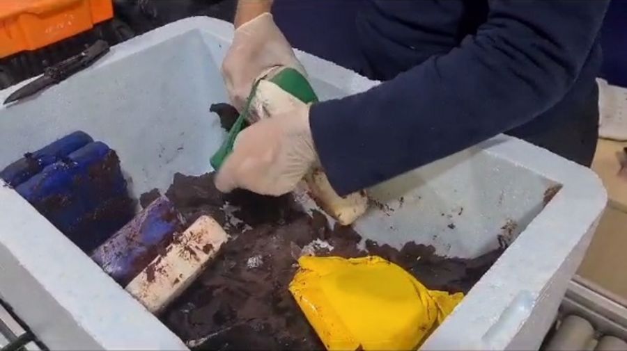 Mulher é presa com 8,5 kg de maconha escondida em polpa de açaí no aeroporto de Manaus