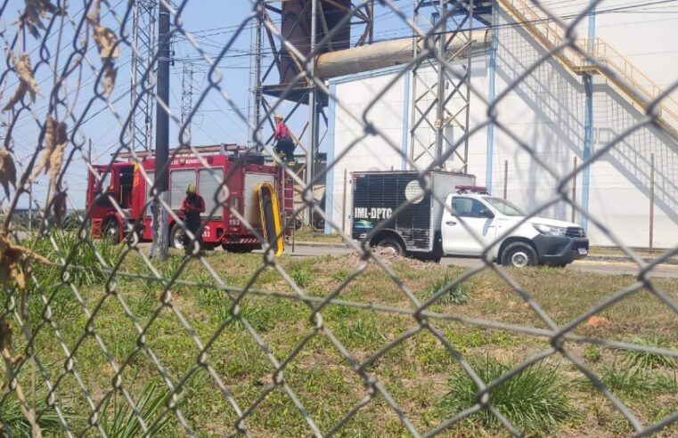 Em Manaus, mulher é achada morta carbonizada no Mauazinho; suspeita é de que seja a grávida que desapareceu