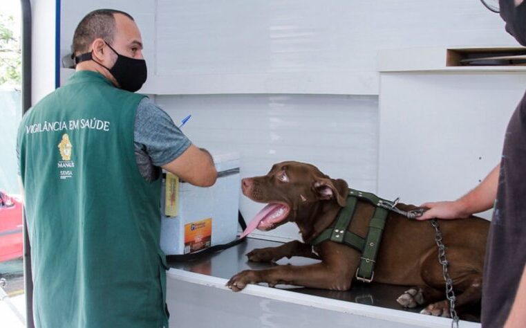 Manaus divulga novo calendário para castração de cães e gatos￼