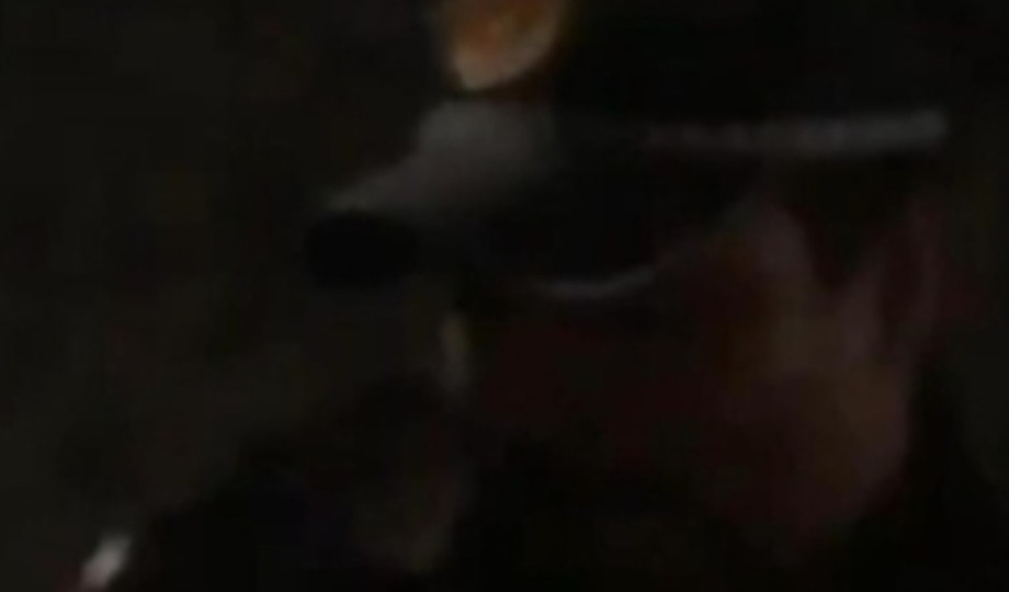 Em Manaus, cachorro é morto com disparo na cabeça por guarnição da Polícia Militar