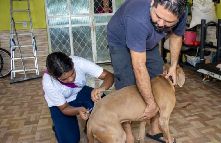 Campanha de Vacinação Antirrábica inicia na quarta-feira em Manaus