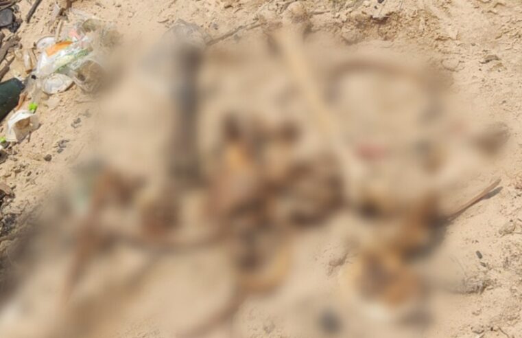 Ossada humana é encontrada em meio ao lixo na Manaus Moderna no Centro￼