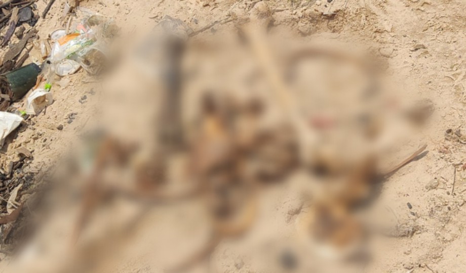 Ossada humana é encontrada em meio ao lixo na Manaus Moderna no Centro￼