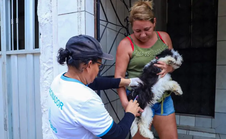 Campanha antirrábica vai imunizar cães e gatos em 16 bairros nesta semana; veja o cronograma￼