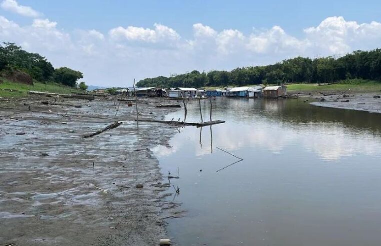 Novo boletim sobre a estiagem no Amazonas é divulgado neste domingo (05)