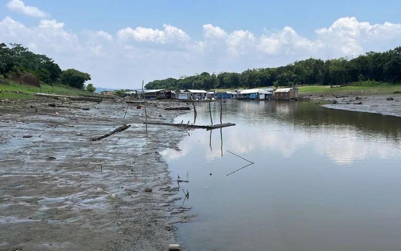 Novo boletim sobre a estiagem no Amazonas é divulgado neste domingo (05)