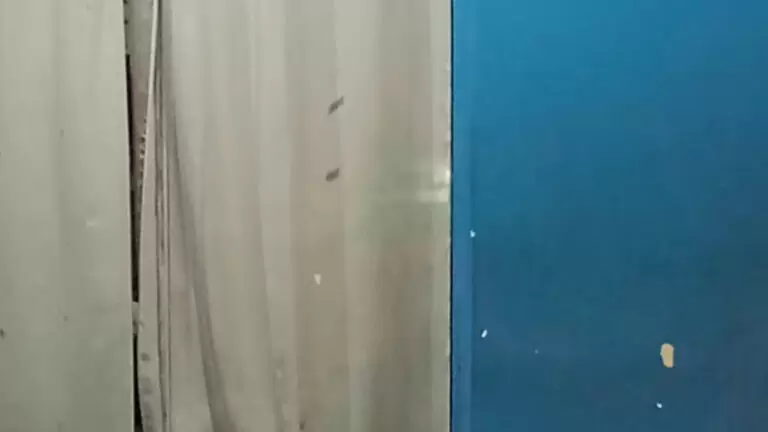 Dono de lava-jato e amigo são ex3cutados com t1ros no rosto em Manaus; veja imagens￼