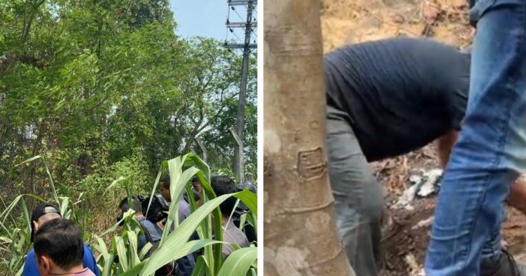 Urgente: Ossada de criança é encontrada em usina onde grávida Débora foi morta em Manaus