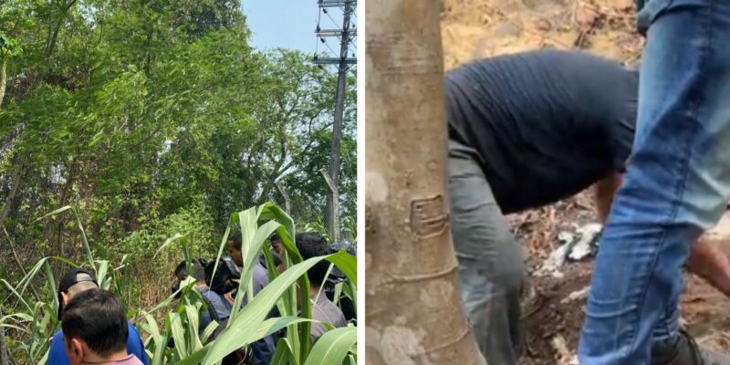 Urgente: Ossada de criança é encontrada em usina onde grávida Débora foi morta em Manaus