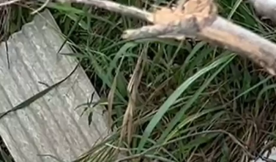 Cadáver é encontrado por moradores jogado em barranco na Zona Oeste de Manaus￼