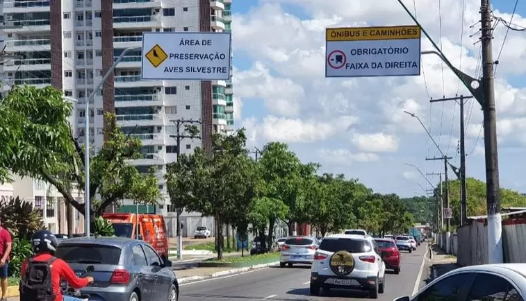 Prefeitura anuncia intervenções no trânsito para a execução de obras neste domingo, 21/1￼