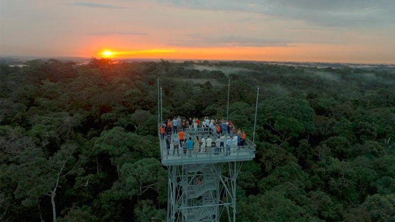 Museu da Amazônia celebra aniversário com ingresso a R$10 reais￼