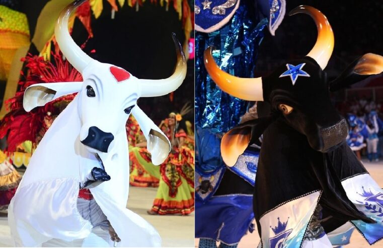 Primeira vez dos Bois Garantido e Caprichoso em Curitiba é marcada por xenofobia nas redes sociais