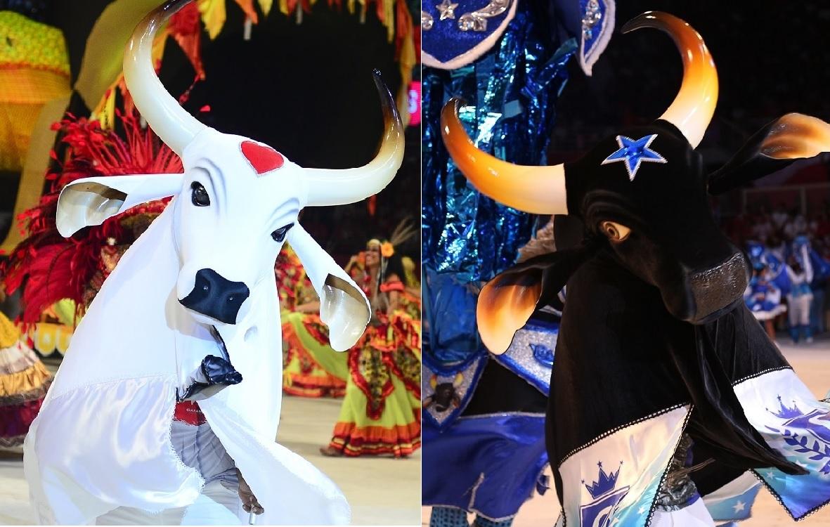 Primeira vez dos Bois Garantido e Caprichoso em Curitiba é marcada por xenofobia nas redes sociais